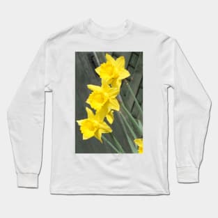 Yellow Daffodils Long Sleeve T-Shirt